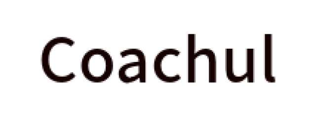 Coachul